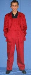 BLUZA